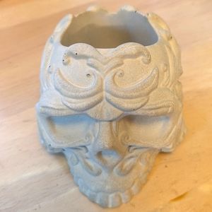 Handmade Cement Skull Planter / Vessel